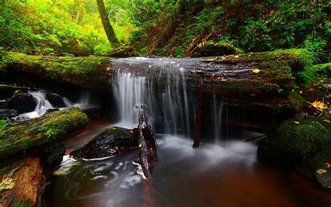 Hd Wallpaper Nature Mountain Dense Spruce Forest River Rock Waterfall