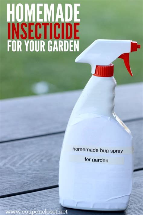 How To Make Natural Pesticides Homemade Insecticide