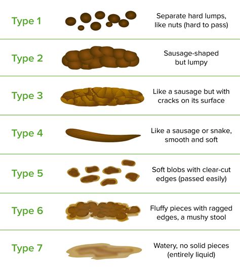 Bristol Stool Chart Image Printable Images And Photos Finder