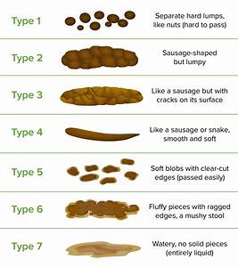An Overview Of The Bristol Stool Chart Picture