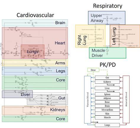 The Various Models In Pulse Download Scientific Diagram