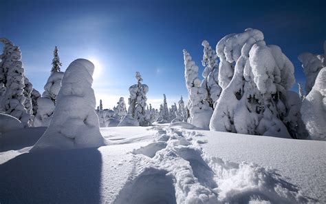 Free Scenery Wallpaper Shows The Scene Of Winter In Finland What A