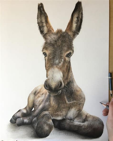 Maybe you would like to learn more about one of these? Design Stack: A Blog about Art, Design and Architecture: Colored Pencils Realistic Animal Drawings
