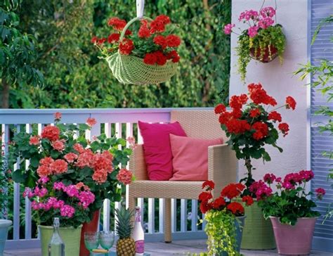 Las plantas colgantes darán un toque de frescura a cualquier habitación de tu hogar, en especial la sala de estar. Terrazas decoradas con plantas, ideas originales