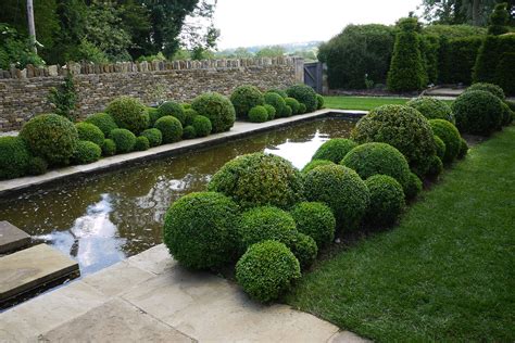 Jake Hobson Japanese Cloud Pruning Specialist Topiary Expert And