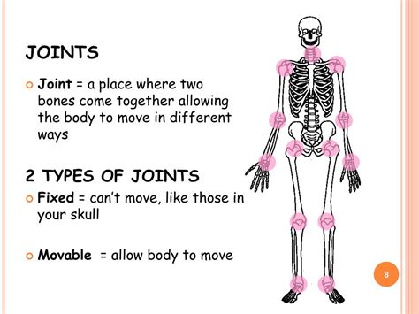 Ppt The Skeletal System Powerpoint Presentation Free Download Id