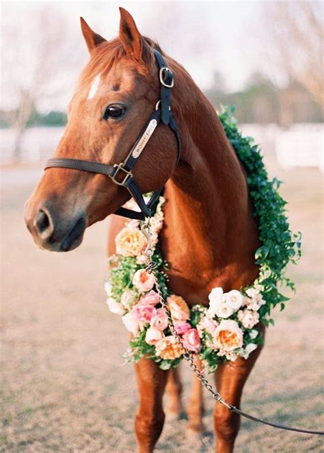 The 25 Best Horse Flowers Ideas On Pinterest Horse White Horses And