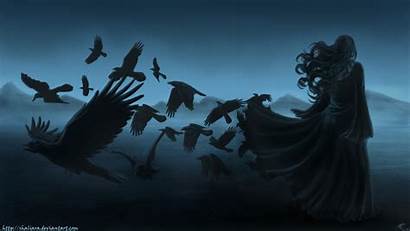 Mood Birds Raven Crows Wallpaperup Poe Wallpapersafari