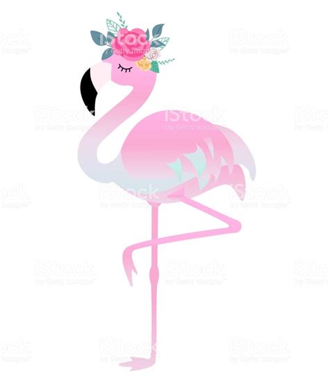 Cute Flamingo With Flowers Beautiful Vector Illustration