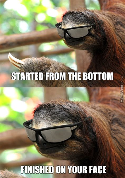 19 Amusing Sloth Meme Make You Laugh For Whole Day Memesboy
