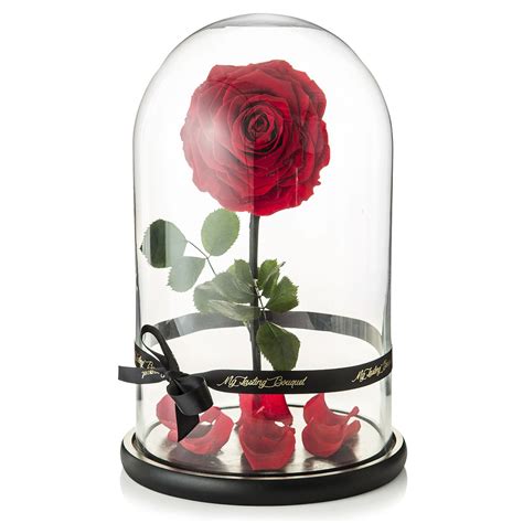 Beauty And The Beast Real Enchanted Rose Created By My Lasting Bouquet