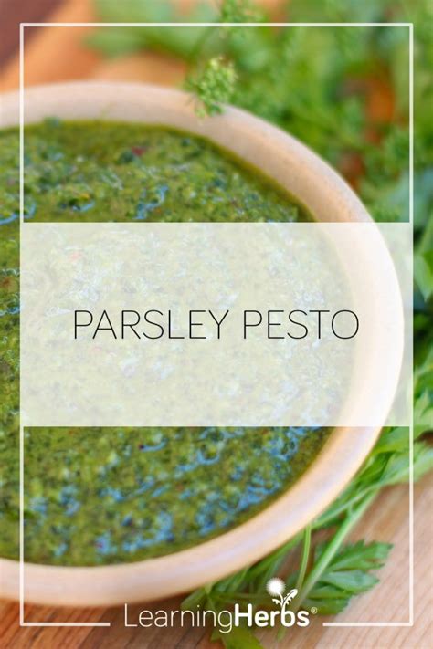 Parsley Pesto Recipe Artofit