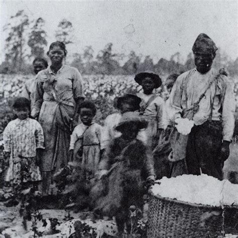 How America Was Built On Slavery Those Roots Can Still Be Felt Today Asu Now Access