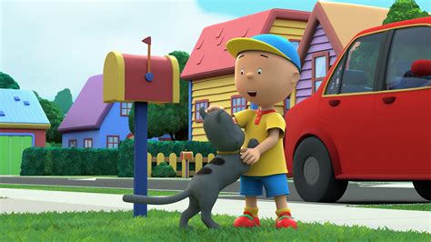 Watch Caillou Adventures With Grandma And Grandpa Streaming Online