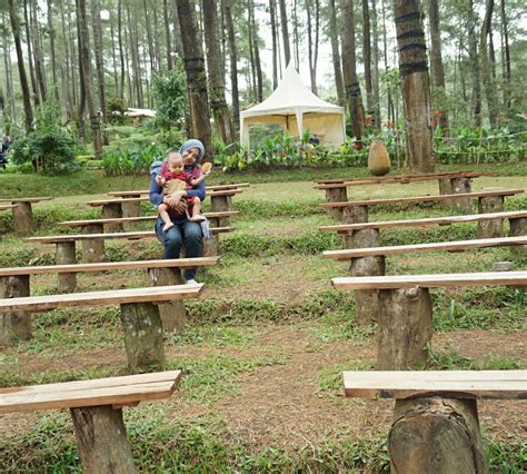 Orchid Forest Lembang Atualizado 2022 O Que Saber Antes De Ir Sobre O Que As Pessoas Estão