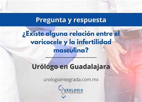 ¿existe Alguna Relación Entre El Varicocele Y La Infertilidad Masculina Urología Integrada