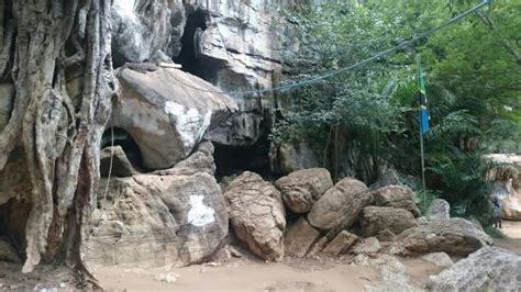 Amboni Caves Tanga All You Need To Know Before You Go Tripadvisor