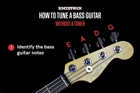 The Different Types Of Bass Guitar Tunings Fuelrocks