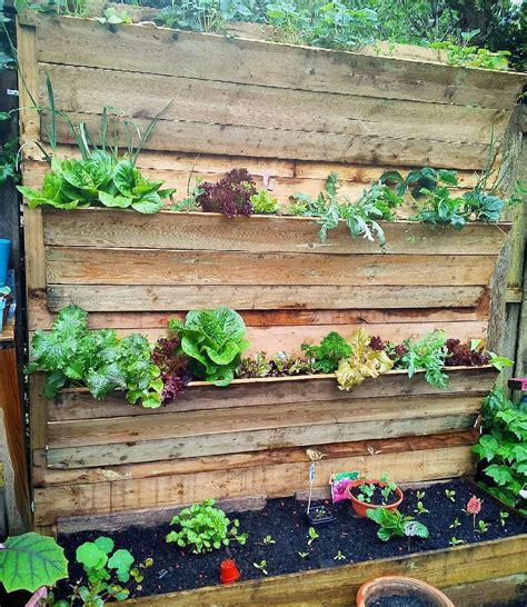 Love This Awesome Salad Wall By Oprozeklompjes