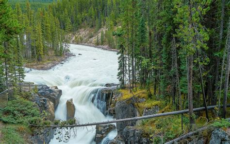 Download Wallpaper Waterfall Forest River Spruce Canada Alberta Jasper