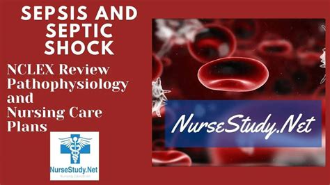 Sepsis And Septic Shock Nursing Diagnosis Interventions And Care Plans