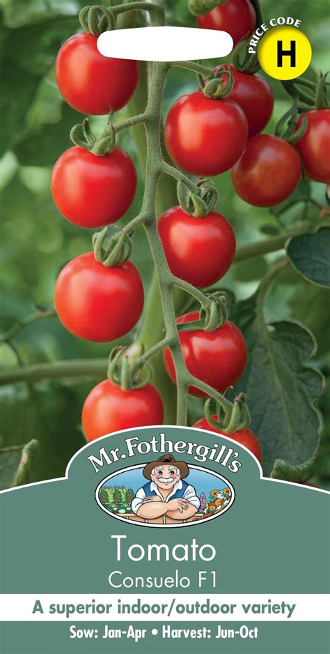 Mr Fothergills Vegetable Tomato Consuelo F1 10 Seeds Justseed