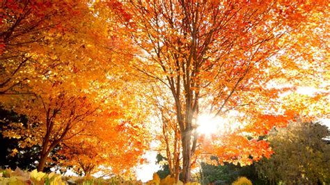 September Fall Wallpapers Top Free September Fall Backgrounds