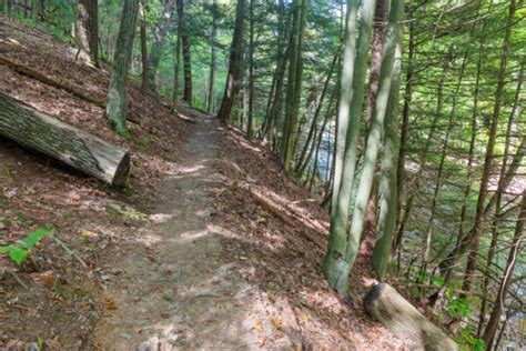 Hiking The Hemlock Trail In Laurel Hill State Park To See Its Massive