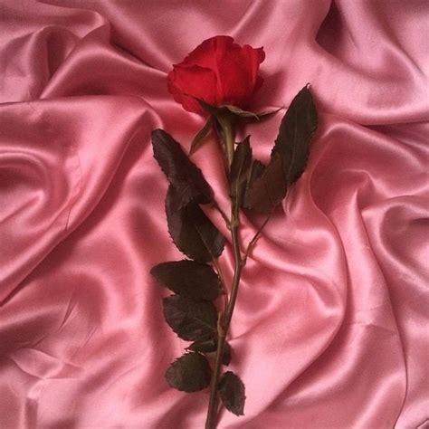 Pin By Emmy On Color Combos Red Aesthetic Aesthetic Roses Pink