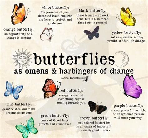 Butterflies And Their Meanings Butterfly Meaning Color Meanings