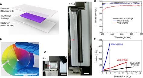 What are nanogenerators and how do they generate electricity? Ultrastretchable, transparent triboelectric nanogenerator ...