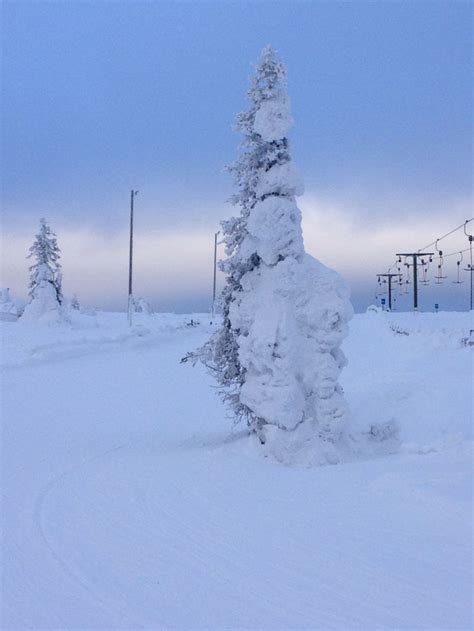 Top Of Levi Fell Finnish Lapland Winter Wonderland Lapland Wide World