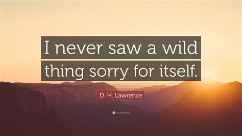 Carol said it and it goes something like it was supposed to be a world where all things be nonetheless. (max tells the wild things) and within the situation in which he was once. D. H. Lawrence Quote: "I never saw a wild thing sorry for ...
