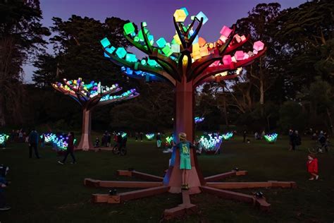 Illuminated Led Forest ‘entwined Returning To Golden Gate Park For