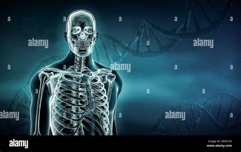 DNA Strands And X Ray Of Human Body And Skeleton 3D Rendering