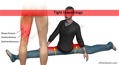 Tight Hamstringsstretches To Loosen Stiff Hamstring Muscles