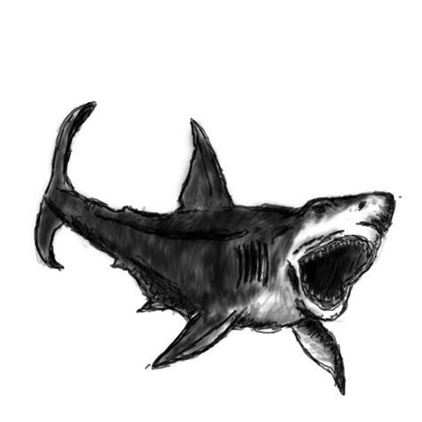 Shark Conceptart By Cdrbreuk On Deviantart