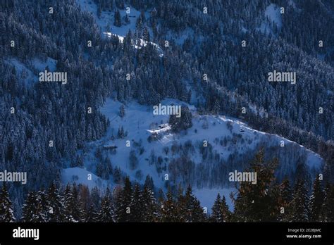 Snow Capped Mountains And Fir Trees Frost And Clean Air Winter