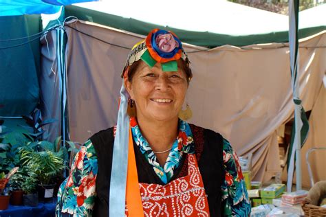 Who Are The Mapuche — Learn From Travel