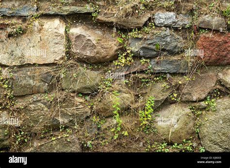 Fieldstone Walls Hi Res Stock Photography And Images Alamy