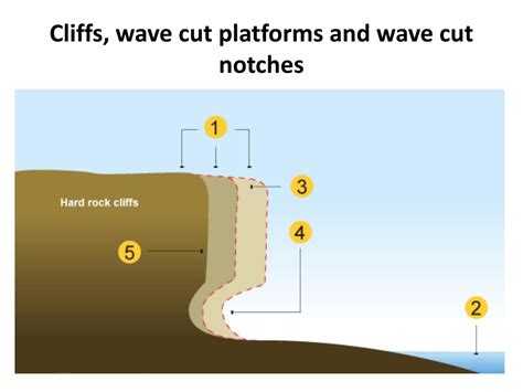 Ppt Coastal Erosion Processes Powerpoint Presentation Free Download