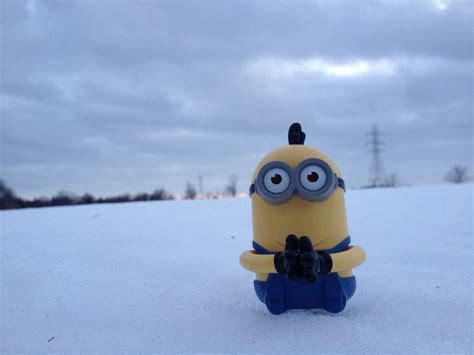 Minions Love The Cold