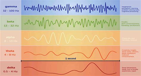 Role Of Brainwaves In Neurofeedback For Our Thoughts And Emotion Formation