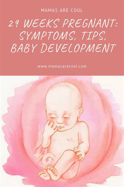 29 Weeks Pregnant Tips Symptoms And More What To Expect 29 Weeks