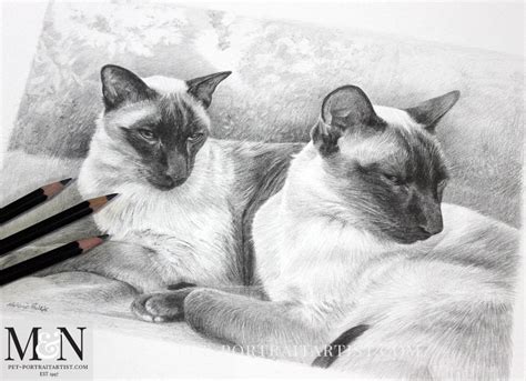 Siamese Cats Pencil Portrait Of Tai And Chi Melanie And Nicholas Pet
