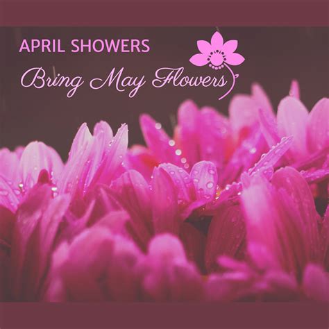 April Showers Bring May Flowers Templates Stencil