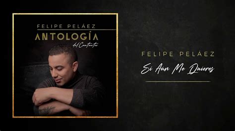 Si Aún Me Quieres Felipe Peláez Cover Audio Youtube