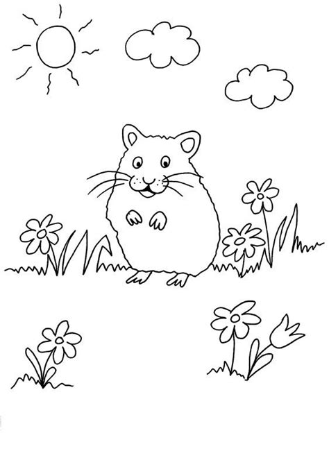 Meerschweinchen sind so süß und flauschig und machen tolle haustiere. Пин на доске Coloring (Раскраски)