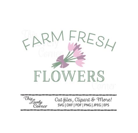 Farm Fresh Flowers Svg For Cricut Spring Sign Design Vector Etsy