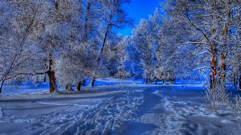 Winter Storm Wallpapers Wallpaper Cave